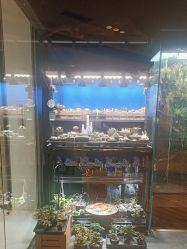 -Zoolung Zoolung动物主题公园(海信广场店)