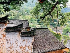 -杨家堂村