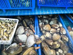 -本达人海鲜烧烤·朝鲜族风味(发展店)