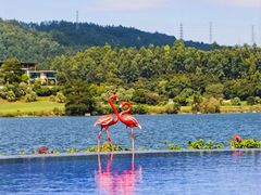-白云湖畔酒店-湖畔餐厅