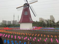 -菊园百果园