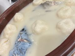 砂锅鱼头-天福苑(崇宁路店)