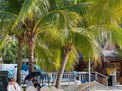 -亚马逊丛林水乐园