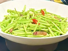 -秀儿四九城·新京菜(亚运村鸟巢店)