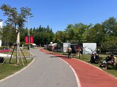 -上海长兴岛郊野公园