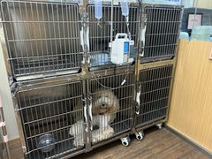 -中农大我爱我爱24h动物医院·中医针灸·猫专科·骨科医疗中心(双井店)