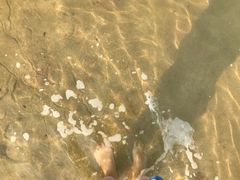 -北海金海湾红树林生态旅游区