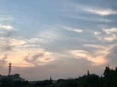 -上海科学技术职业学院