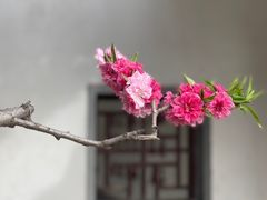 -团结湖公园
