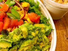-油梨树 AVOCADO TREE(亮马桥店)