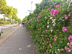 -石湖景区