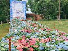 -武汉园博园(武汉自然博物馆)