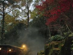 -宁海森林温泉