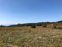 -白草畔自然风景区