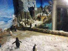 -成都浩海立方海洋公园