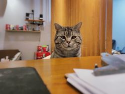 -幸运7纹身刺青Lucky7tattoo