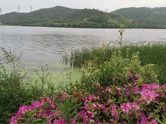 富邦荪湖山庄度假村-宁波富邦荪湖山庄