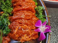-番食园鲜食火锅(高新店)