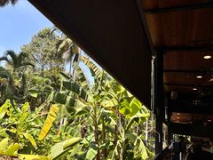 -植物园哈利亚餐厅