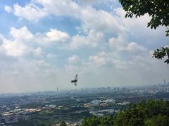 -火炉山森林公园