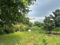 -三圣花乡旅游区