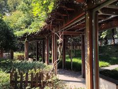 -徐家汇源景区-衡山公园