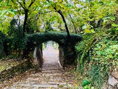 -松鹤楼(山塘街店)