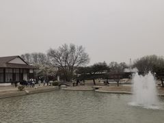 -北京世界公园