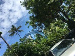 -Bamboo Bar & Grill Restaurant