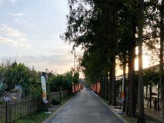 -前小桔亲子创意农场·草莓采摘·露营烧烤