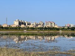 -风云岭森林公园