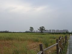 -汉长安城未央宫国家考古遗址公园