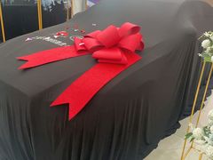 -上海伟杰·捷豹路虎4S店(闵行店)