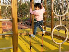 -枫香湖儿童公园