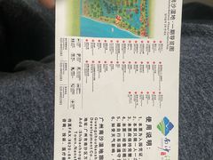 -大湾区中央湿地公园