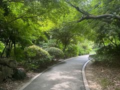 -桃花岛景观公园
