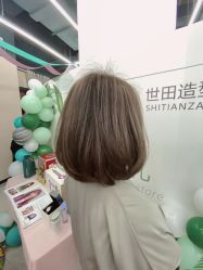 -世田造型