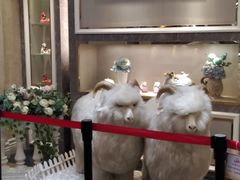 -新兴家喻酒家·羊城名宴(昌岗店)