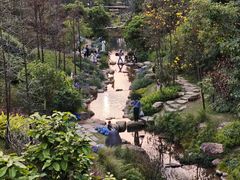 -云溪植物园