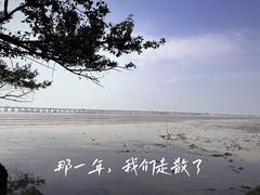 -宝安西湾红树林湿地公园