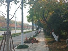 -南京外国语学校(仙林分校西区)