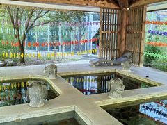 -中家鑫园温泉酒店鑫悦汤泉