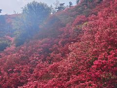 -木兰云雾山