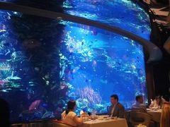 -迪拜帆船酒店海底餐厅