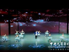 -中央芭蕾舞团·中芭艺蕾(酒仙桥明星校区)
