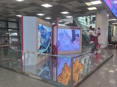 -郑州新郑国际机场-T2航站楼