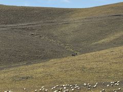 -祁连山草原