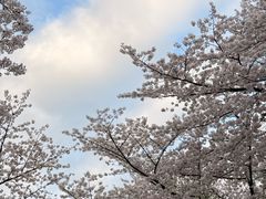 -杭州少年儿童公园