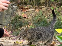 -南宁市凤岭儿童公园