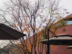 -蜀SHU·川菜